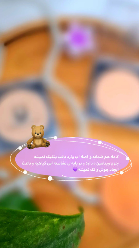 پنکک لاکچری کوین باضمانتنامه اصل بودن